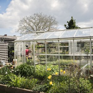 Serre of kas in de tuin
