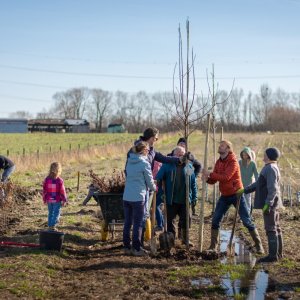 Aanplant voedselbosrand Schelle
