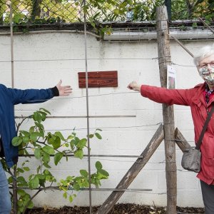 Winaar fruitboomverkiezing 2020 in Brussel